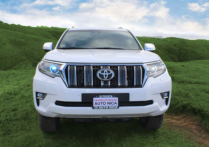 toyota Land Cruiser Prado Exterior parrilla frontal