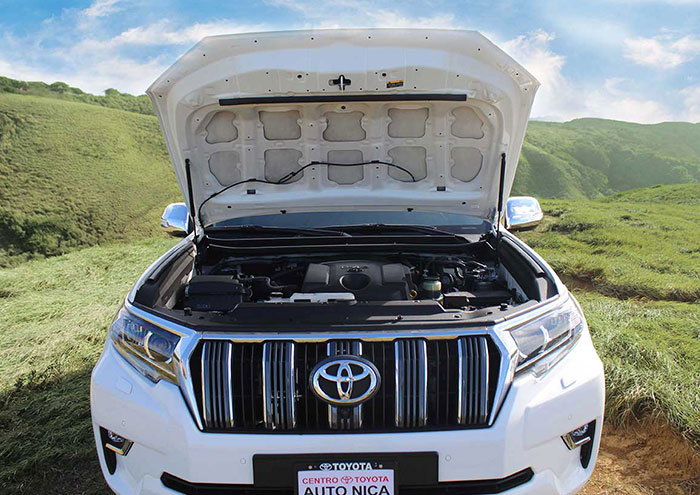 toyota Land Cruiser Prado Motor